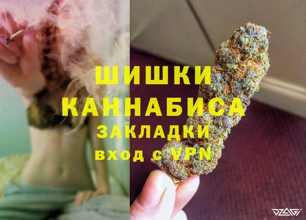 сатива Алексин
