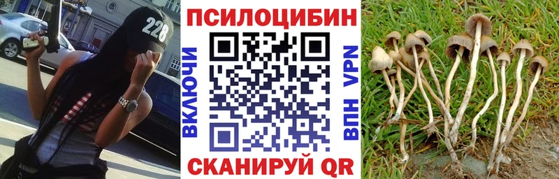 блэк спрут ссылки  Набережные Челны  мориарти Telegram  Галлюциногенные грибы Psilocybine cubensis 